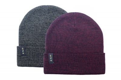 ESP Beanie Hats