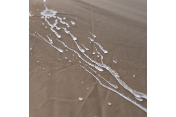 RidgeMonkey EscAPE V2 XF2 Standard 2 Man Bivvy - Green