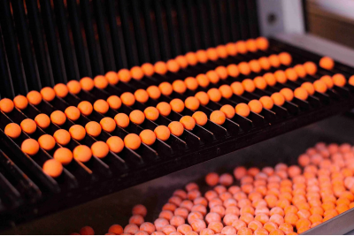 Forgotten Flavours Juicy Peach Pop Ups 15mm