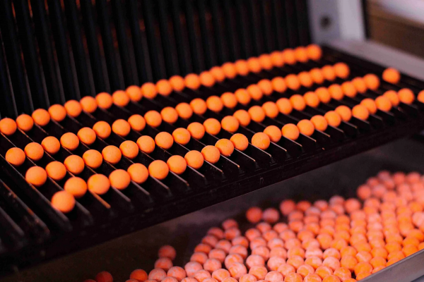 Forgotten Flavours Juicy Peach Pop Ups 15mm