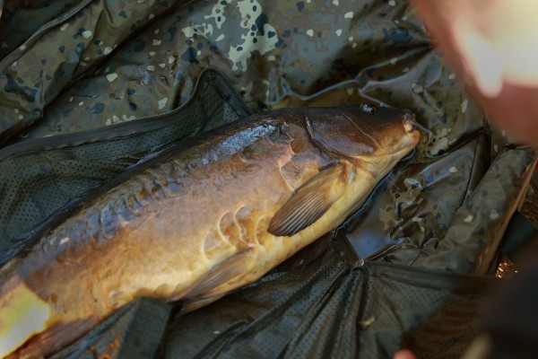 Thinking Anglers Camfleck Oval Walled Unhooking Mat