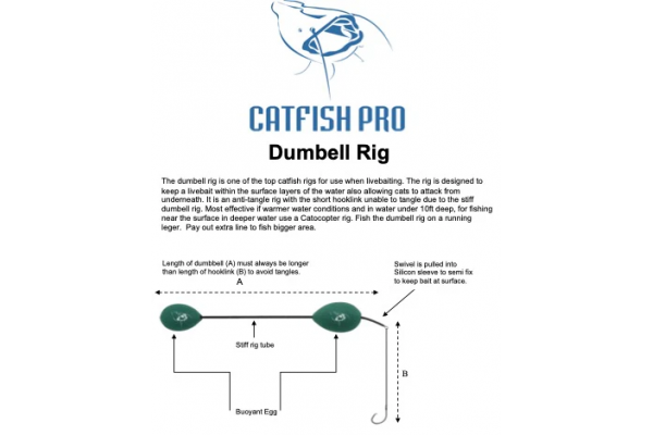 Catfish Pro Dumbell Rig Large