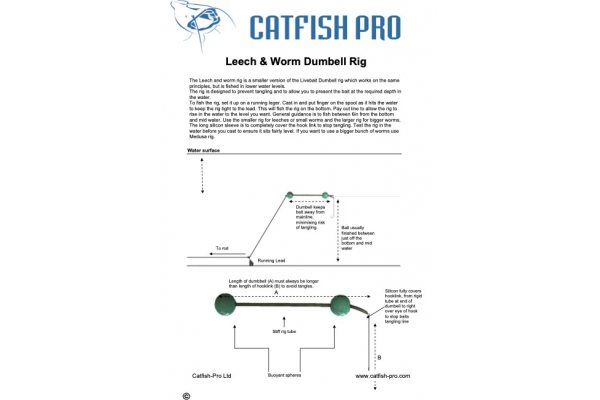 Catfish Pro Dumbell Rig Leech and Worm
