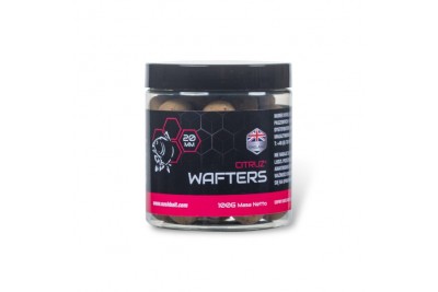 2024 Nash Baits Citruz Wafters