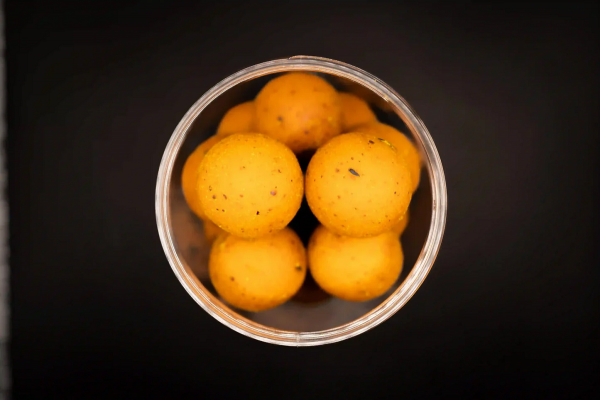 Forgotten Flavours Scopex Hard Hookbaits