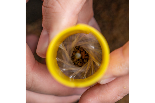 Avid Carp Transfer Solid Bag Systems