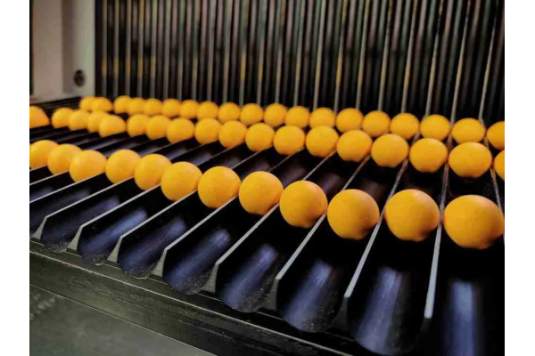 Forgotten Flavours Fireball 10mm Popups