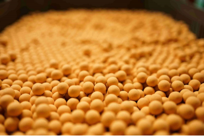 Forgotten Flavours Fireball 10mm Popups