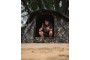Fox Frontier Mk2 Camo Bivvy