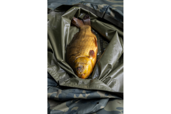 Korum Camo Supa Lite Fishcare Set