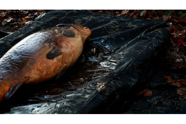 CarpLife Eclipse Camo MF Combi Mat