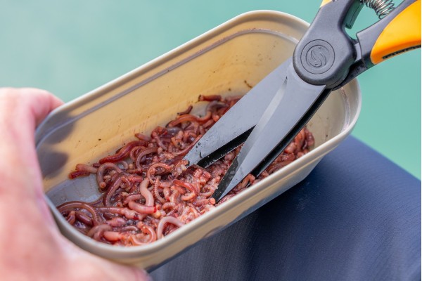 Guru Worm Scissors