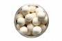 ESP Salty Squid Pop Ups
