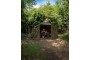 Fox 60 inch Brolly Mozzy Mesh