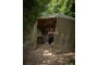 Fox 60 inch Brolly Mozzy Mesh