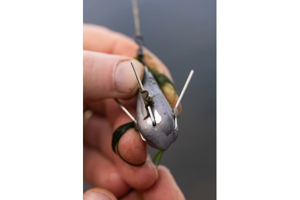 Korda Grapple Leads