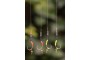 OMC Eyed Bait Screws