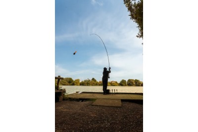 OMC Black Pearl 10ft Spod Rod