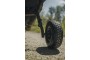 Carp Porter Roamer Rear Wheel Kit